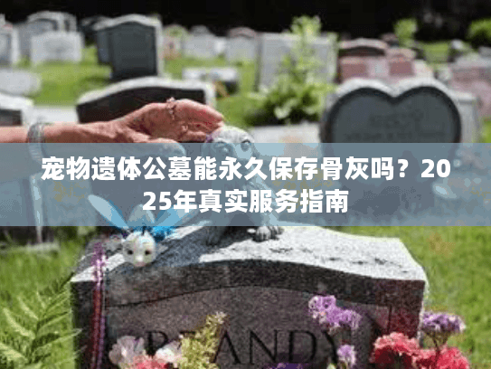 宠物遗体公墓能永久保存骨灰吗？2025年真实服务指南
