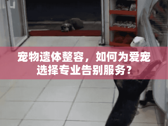 宠物遗体整容，如何为爱宠选择专业告别服务？