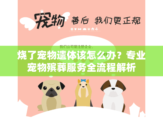 烧了宠物遗体该怎么办？专业宠物殡葬服务全流程解析