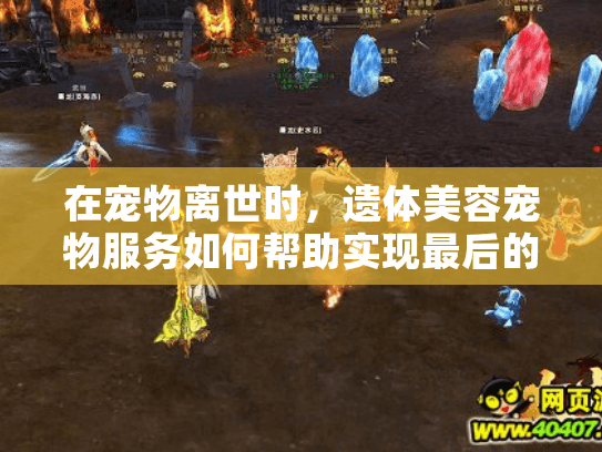 在宠物离世时，遗体美容宠物服务如何帮助实现最后的体面告别？