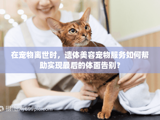在宠物离世时，遗体美容宠物服务如何帮助实现最后的体面告别？