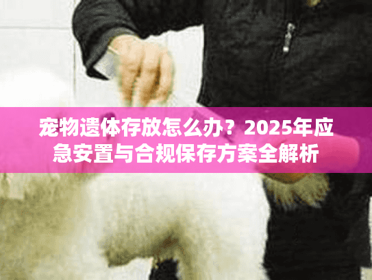 宠物遗体存放怎么办？2025年应急安置与合规保存方案全解析