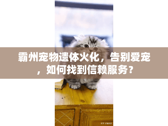 霸州宠物遗体火化，告别爱宠，如何找到信赖服务？