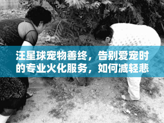 汪星球宠物善终，告别爱宠时的专业火化服务，如何减轻悲伤？