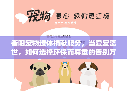 衡阳宠物遗体捐献服务，当爱宠离世，如何选择环保而尊重的告别方式？