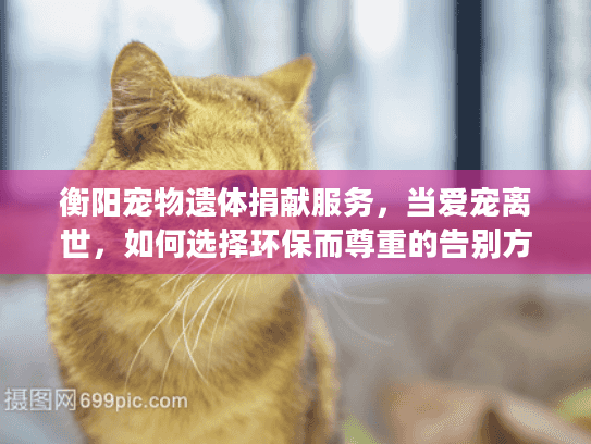 衡阳宠物遗体捐献服务，当爱宠离世，如何选择环保而尊重的告别方式？