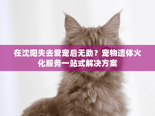 在沈阳失去爱宠后无助？宠物遗体火化服务一站式解决方案