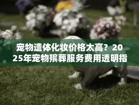 宠物遗体化妆价格太高？2025年宠物殡葬服务费用透明指南