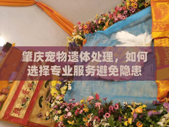 肇庆宠物遗体处理，如何选择专业服务避免隐患
