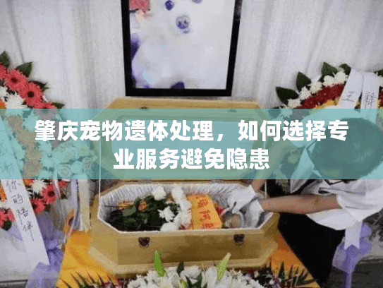 肇庆宠物遗体处理，如何选择专业服务避免隐患