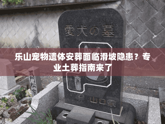 乐山宠物遗体安葬面临滑坡隐患？专业土葬指南来了