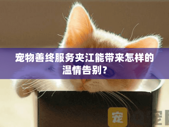宠物善终服务夹江能带来怎样的温情告别？
