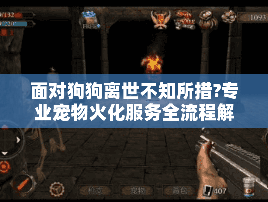 面对狗狗离世不知所措?专业宠物火化服务全流程解析