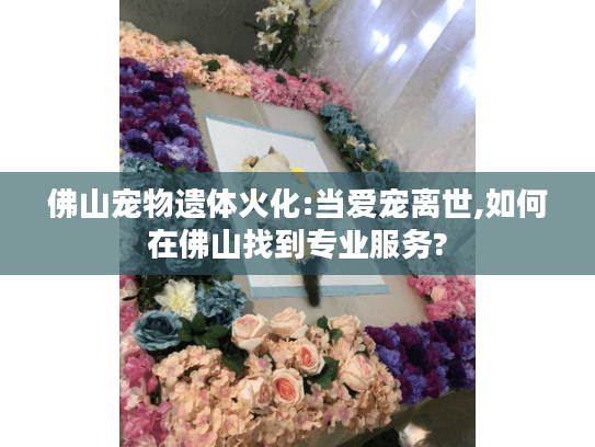 佛山宠物遗体火化:当爱宠离世,如何在佛山找到专业服务?