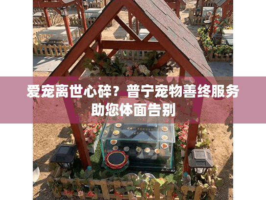 爱宠离世心碎？普宁宠物善终服务助您体面告别
