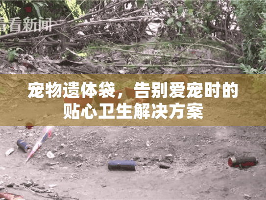 宠物遗体袋，告别爱宠时的贴心卫生解决方案