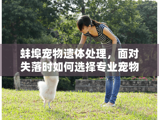 蚌埠宠物遗体处理，面对失落时如何选择专业宠物殡葬服务？