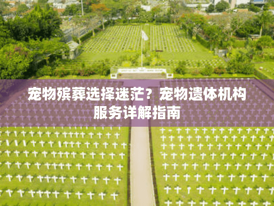 宠物殡葬选择迷茫？宠物遗体机构服务详解指南