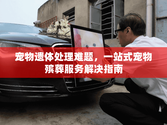 宠物遗体处理难题，一站式宠物殡葬服务解决指南
