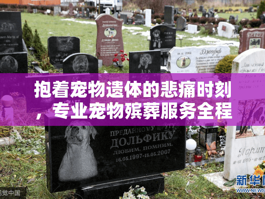 抱着宠物遗体的悲痛时刻，专业宠物殡葬服务全程指南