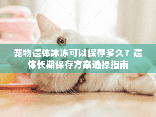 宠物遗体冰冻可以保存多久？遗体长期保存方案选择指南