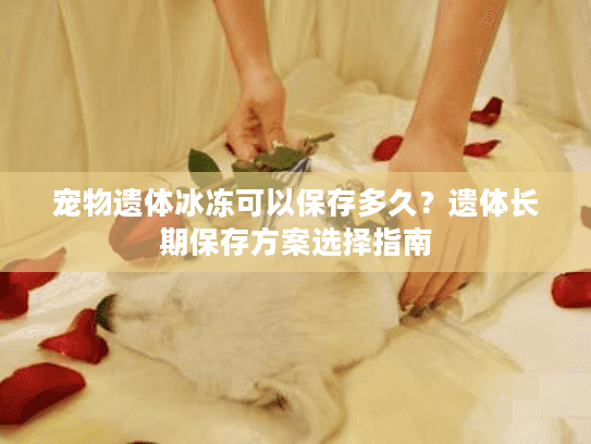 宠物遗体冰冻可以保存多久？遗体长期保存方案选择指南