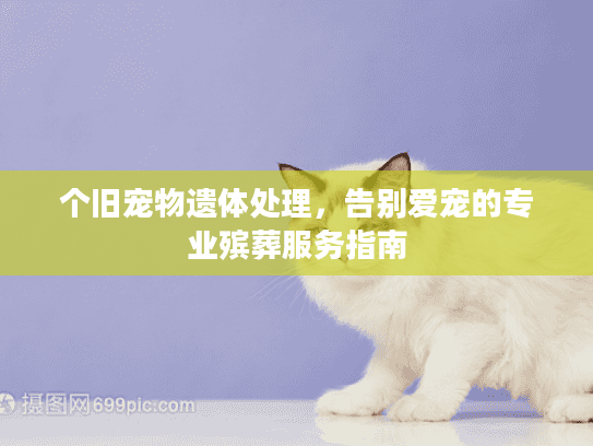 个旧宠物遗体处理，告别爱宠的专业殡葬服务指南