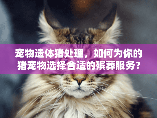 宠物遗体猪处理，如何为你的猪宠物选择合适的殡葬服务？