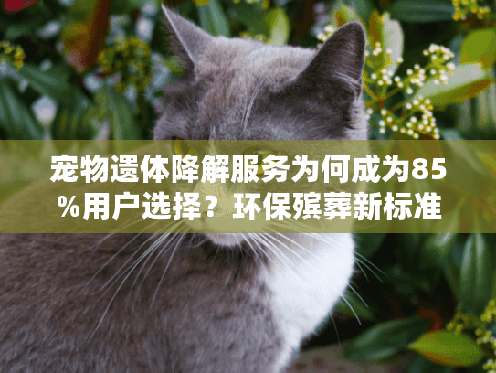 宠物遗体降解服务为何成为85%用户选择？环保殡葬新标准解密！
