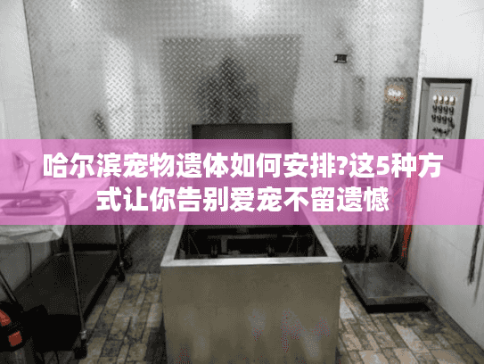 哈尔滨宠物遗体如何安排?这5种方式让你告别爱宠不留遗憾