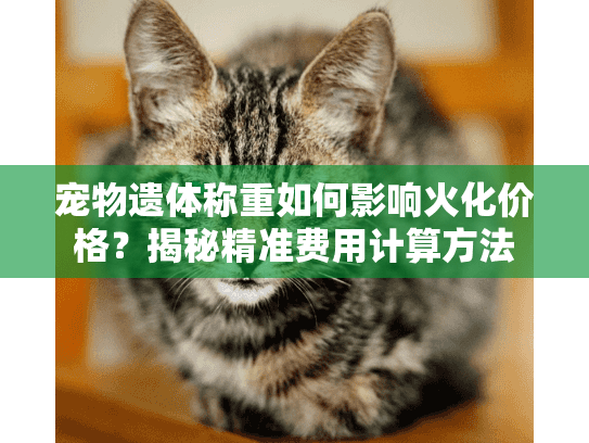 宠物遗体称重如何影响火化价格？揭秘精准费用计算方法