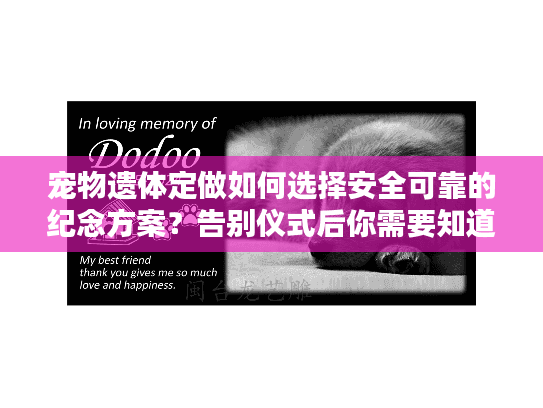 宠物遗体定做如何选择安全可靠的纪念方案？告别仪式后你需要知道这些