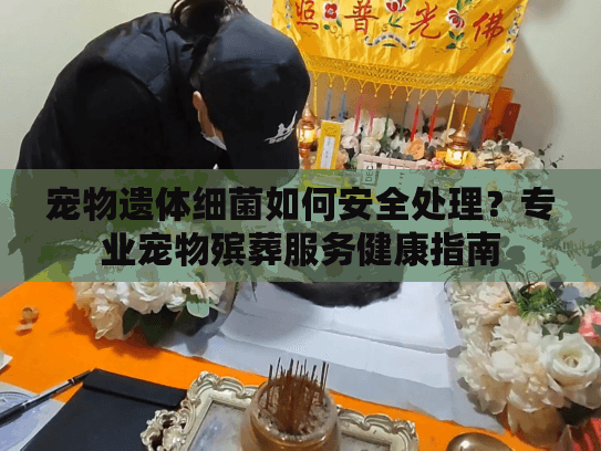 宠物遗体细菌如何安全处理？专业宠物殡葬服务健康指南