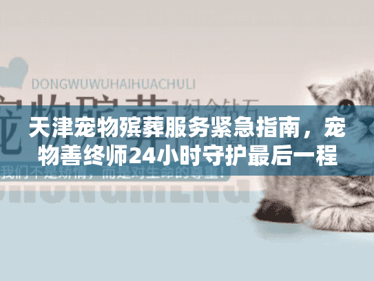 天津宠物殡葬服务紧急指南，宠物善终师24小时守护最后一程