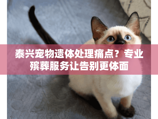 泰兴宠物遗体处理痛点？专业殡葬服务让告别更体面