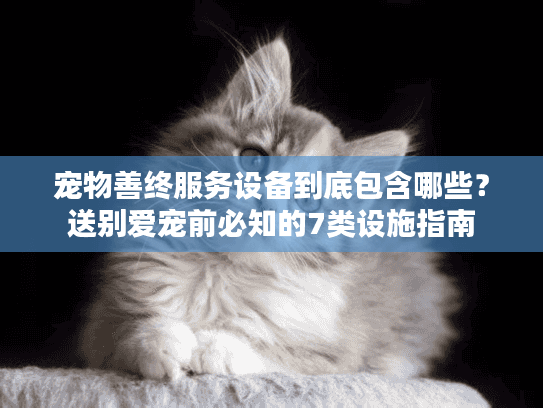 宠物善终服务设备到底包含哪些？送别爱宠前必知的7类设施指南