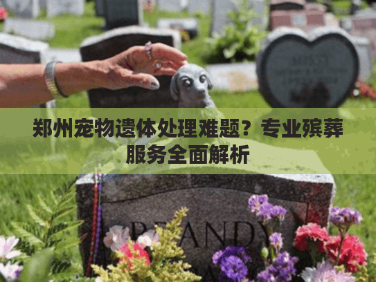 郑州宠物遗体处理难题？专业殡葬服务全面解析