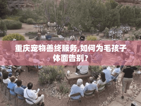 重庆宠物善终服务,如何为毛孩子体面告别？