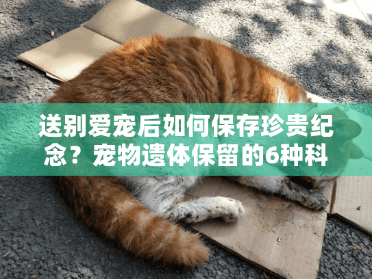 送别爱宠后如何保存珍贵纪念？宠物遗体保留的6种科学方式全解析