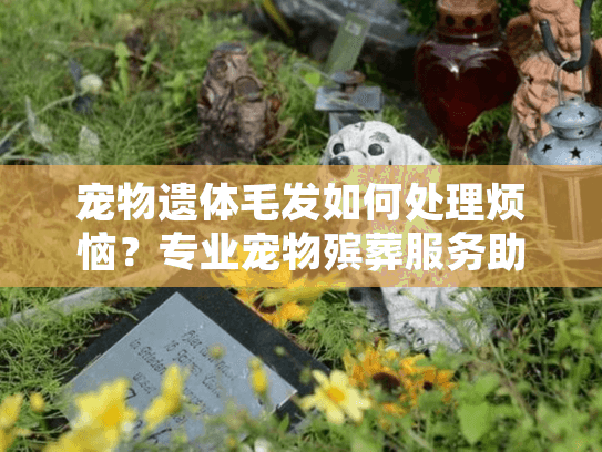 宠物遗体毛发如何处理烦恼？专业宠物殡葬服务助您安心过渡