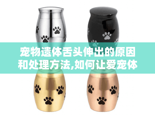 宠物遗体舌头伸出的原因和处理方法,如何让爱宠体面离开?