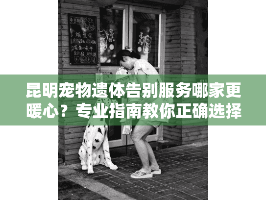 昆明宠物遗体告别服务哪家更暖心？专业指南教你正确选择