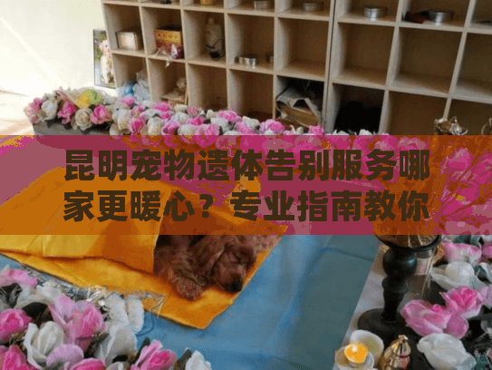 昆明宠物遗体告别服务哪家更暖心？专业指南教你正确选择