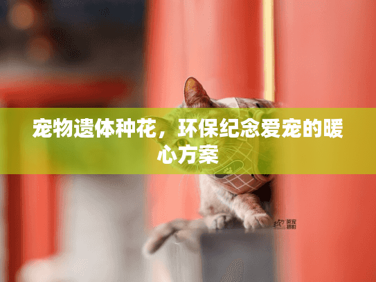 宠物遗体种花，环保纪念爱宠的暖心方案