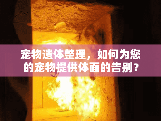 宠物遗体整理，如何为您的宠物提供体面的告别？