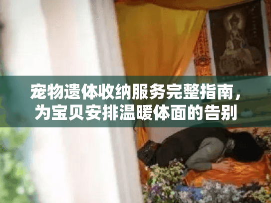 宠物遗体收纳服务完整指南，为宝贝安排温暖体面的告别