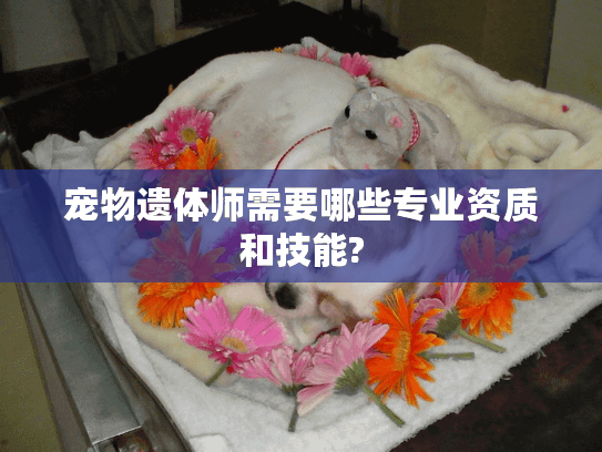 宠物遗体师需要哪些专业资质和技能?