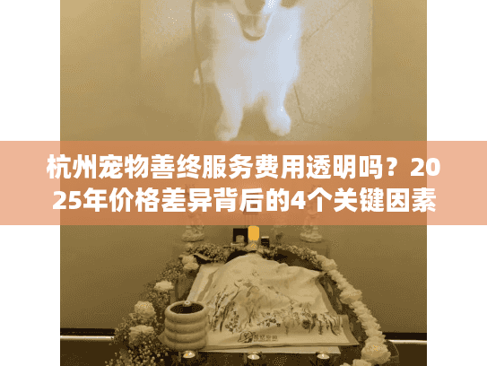 杭州宠物善终服务费用透明吗？2025年价格差异背后的4个关键因素