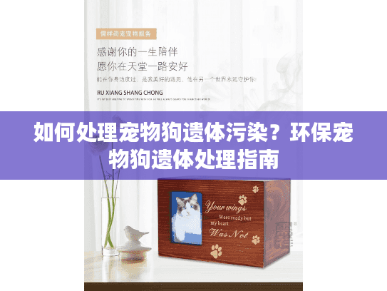 如何处理宠物狗遗体污染？环保宠物狗遗体处理指南
