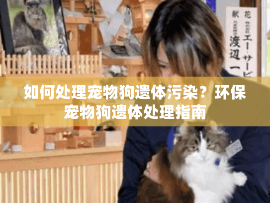 如何处理宠物狗遗体污染？环保宠物狗遗体处理指南
